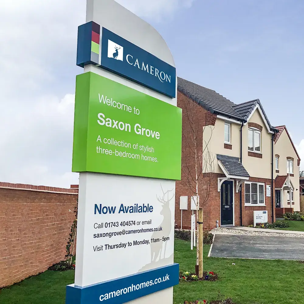 Cameron Image Montage 4